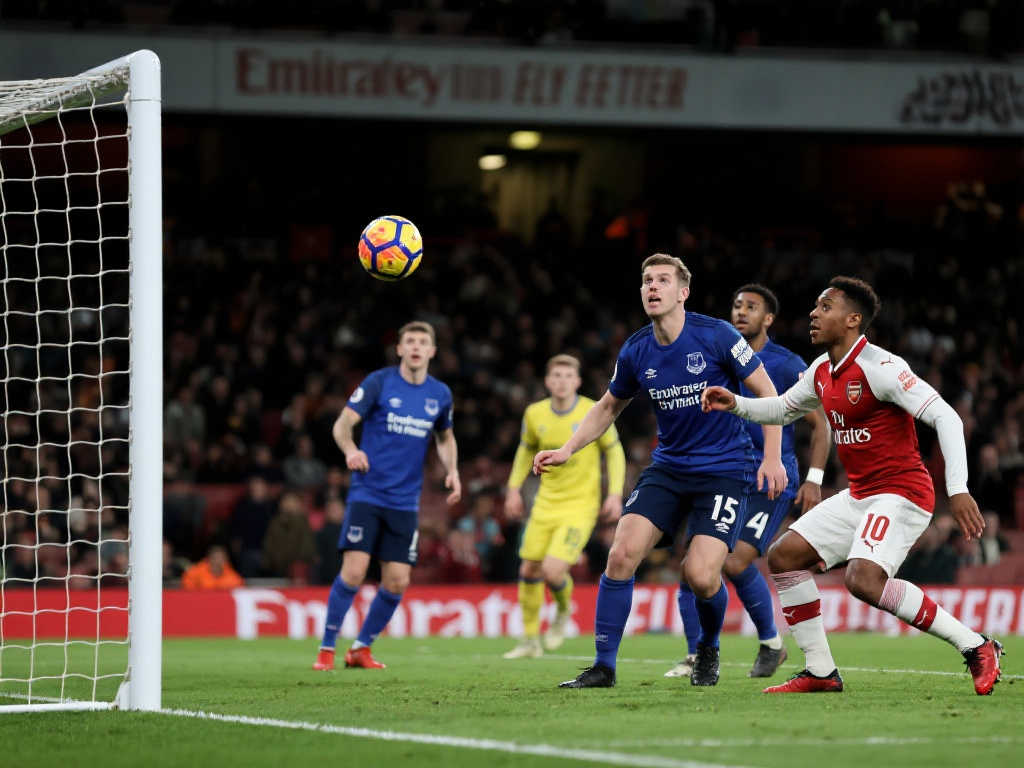 公牛已经陷 公牛已经陷